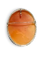Spilla Mandile 1922 Donna Cammei  in Argento Conchiglia 2MSPCM45.6.26 - 2MSPCM45.6.26